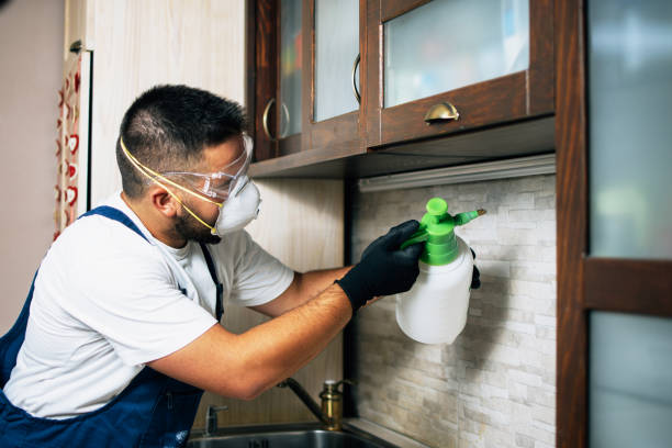 Best Best Pest Control Companies  in Hohenwald, TN