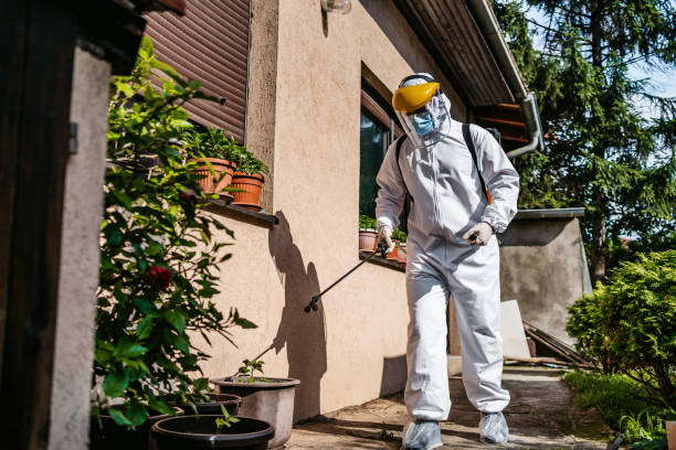 Best Rat Extermination Near Me  in Hohenwald, TN