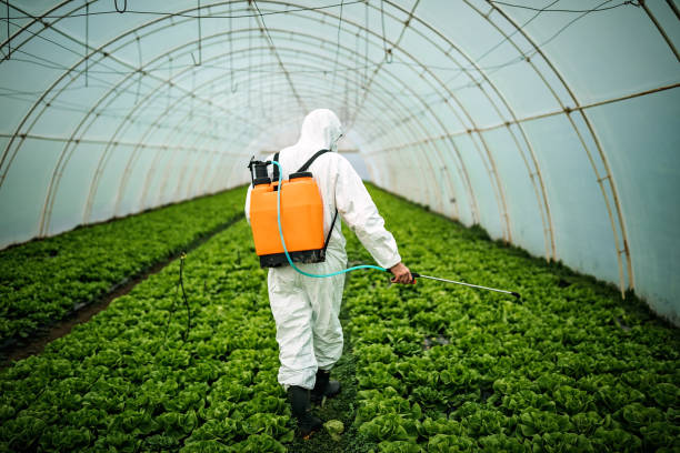 Best Pest Inspection Near Me  in Hohenwald, TN