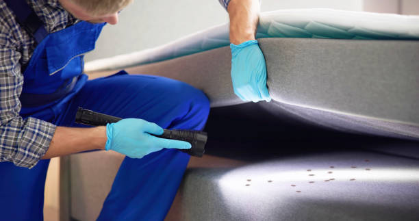 Best Flea Control Services  in Hohenwald, TN