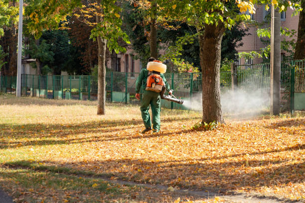 Best Mosquito Control Services  in Hohenwald, TN