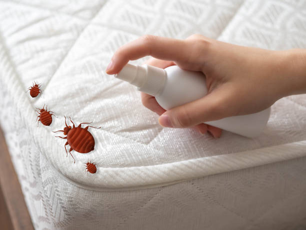 Wasp Removal Services in Hohenwald, TN