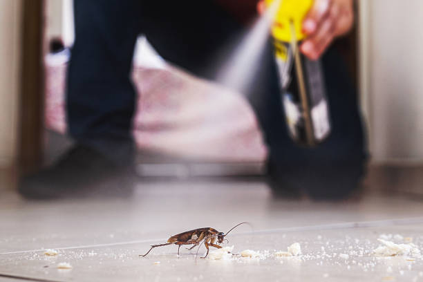 Best Best Pest Control Companies  in Hohenwald, TN