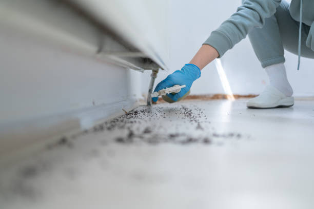 Best Commercial Pest Control Services  in Hohenwald, TN